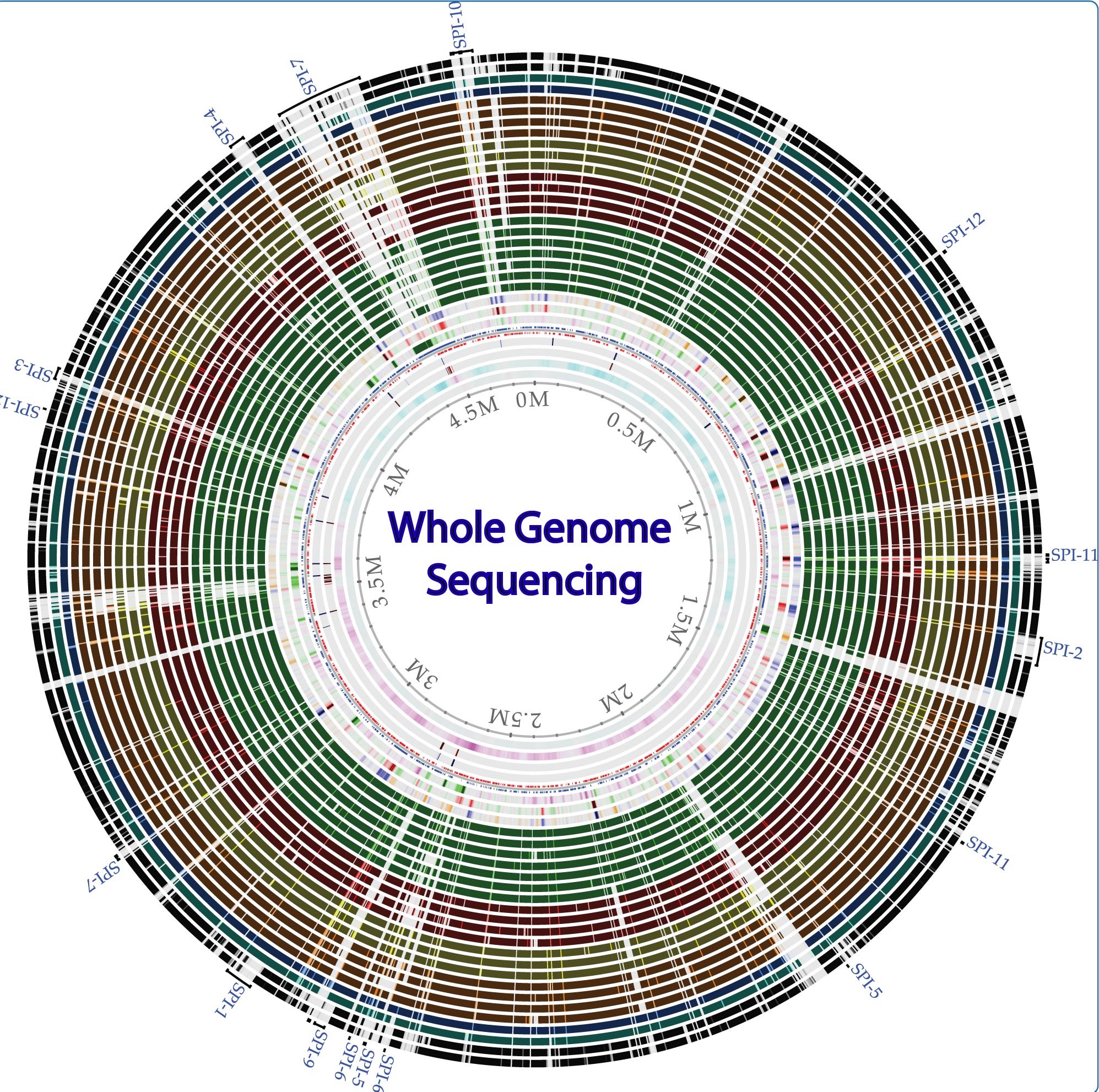 Whole Genome Sequencing